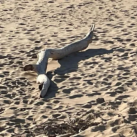 Maison De Charme à St Clément Des Baleines Saint-Clément-des-Baleines