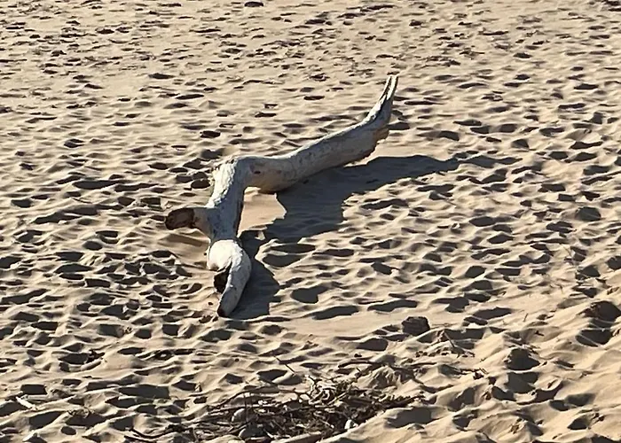 Maison De Charme A St Clement Des Baleines Saint-Clement-des-Baleines